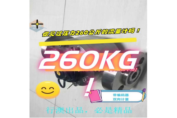 260公斤压力的圆齿轮测油流量计